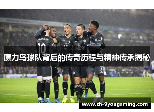 魔力鸟球队背后的传奇历程与精神传承揭秘